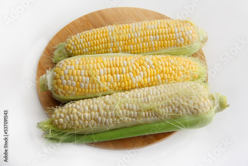 close-up of corn on a white background. corn on the cob on a wooden board