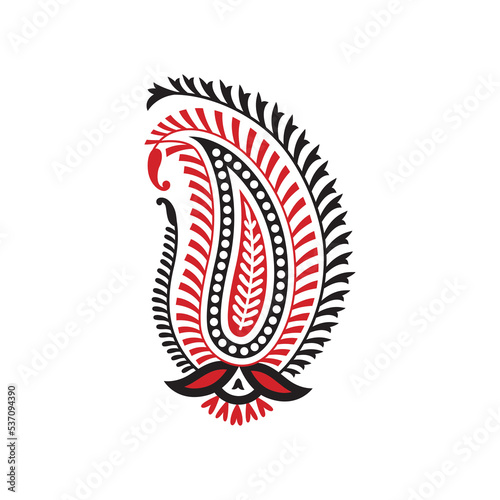 beautiful paisley vector drawing design illustration artwork