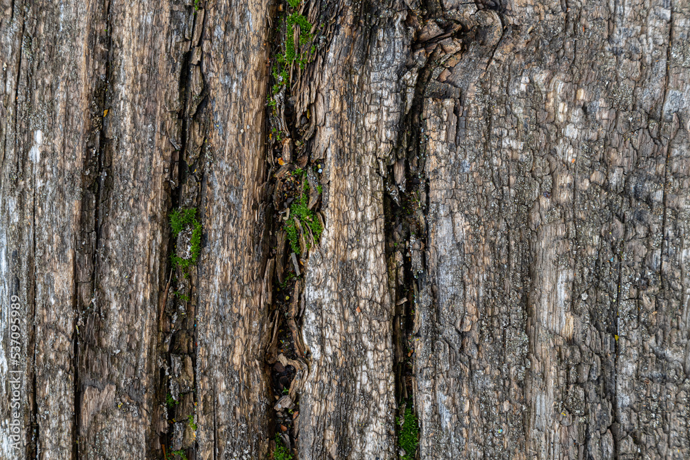 background in the form of a wooden surface background in the form of a wooden surface