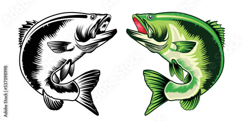 fish jump water vector bundle.