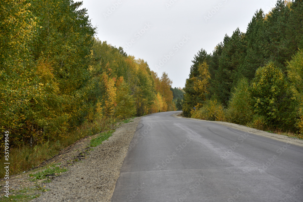 A high-speed asphalt road in autumn and a beautiful forest with a field. Highway in the autumn forest.