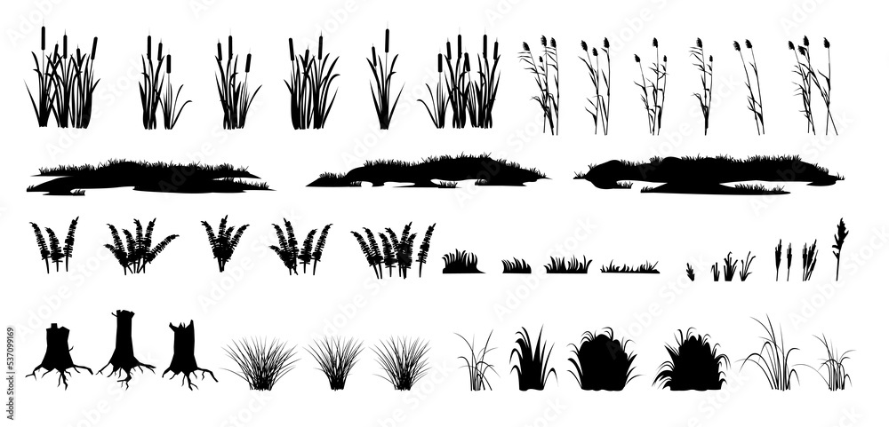 Set of shoots of reeds, reeds and coastal grass. Ferns and rotten stumps. Swamp landscape. View of the river bank. Silhouette picture. Isolated on white background. Vector. - obrazy, fototapety, plakaty 