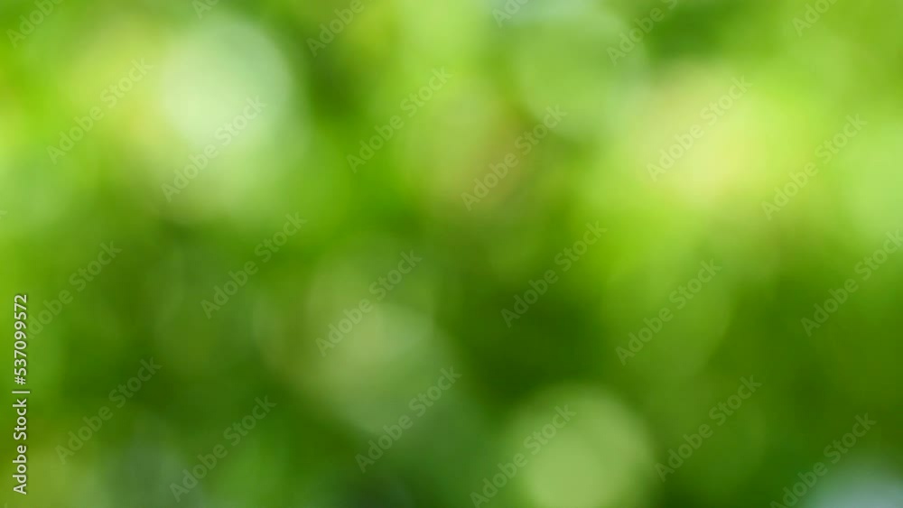 Abstract motion green bokeh or green background with bright blurred nature bokeh for the wallpaper. Abstract motion green bokeh or green background with bright blurred nature bokeh for the wallpaper.