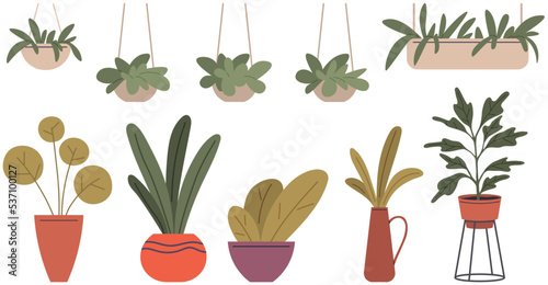 House plants set. Home houseplant flowerpot. Decorative botanical floral in hanging basket. House indoor greenery. Growing different flowers. Evergreens for interior decoration of room or balcony