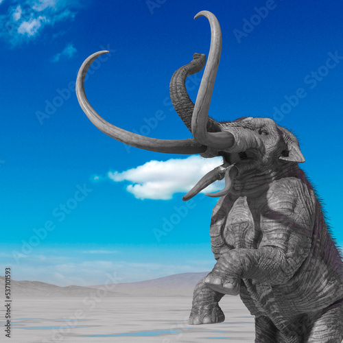 mammoth is standing up in the desert after rain close up view