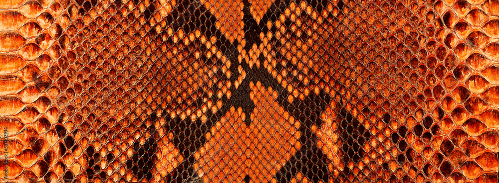 Leather surface with python skin texture python skin. Tropical wildlife ...