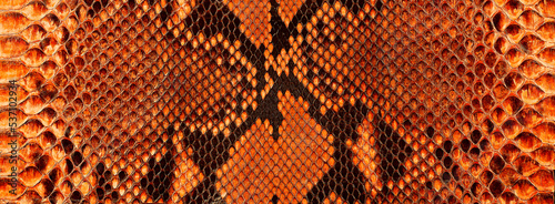 Fotografie Leather surface with python skin texture python skin