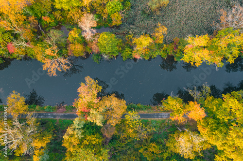 Autumn foliage surrounding the waterway