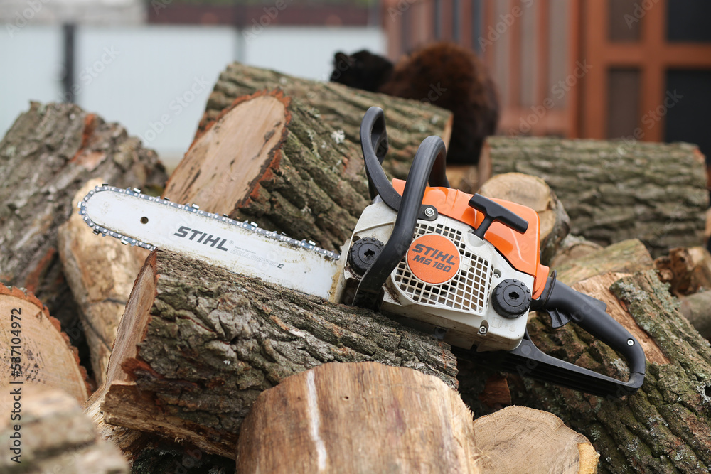 A pile of oak logs were cut using a lightweight chainsaw Stihl MS 180.  Stock Photo