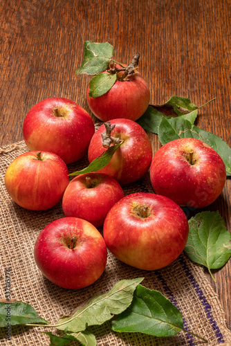 Freshly harvested ripe, juicy, organic red devil apples on a wooden table