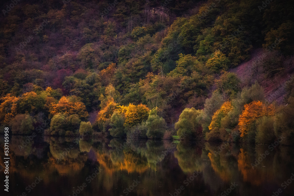 Enchanted Lovely Autumn Forest in the Fall of Saarland in Germany, Europe Enchanted Lovely Autumn Forest in the Fall of Saarland in Germany, Europe