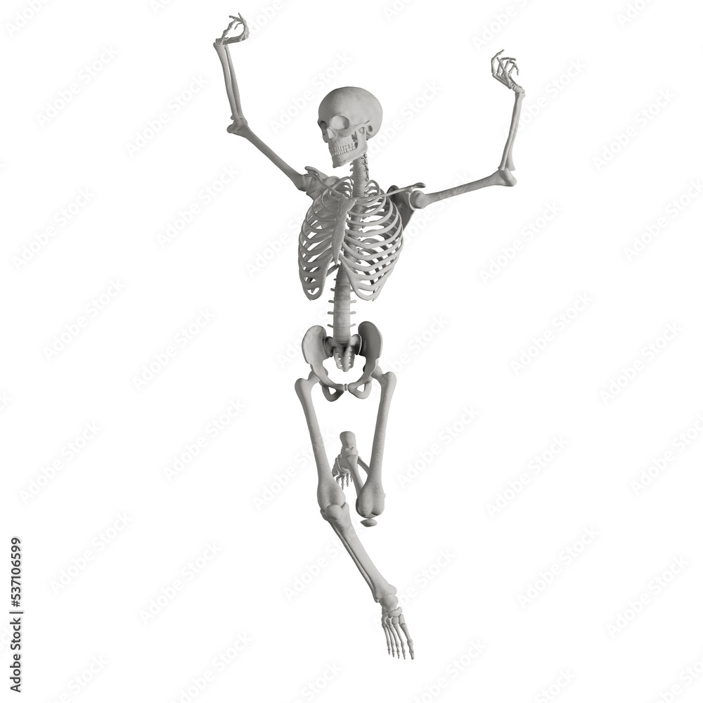 skeleton posing 3d render illustration skeleton posing 3d render illustration