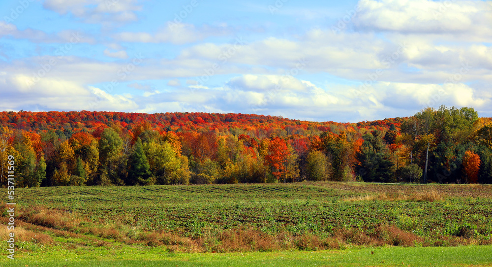 Fall landscape in north america Quebec province Canada
