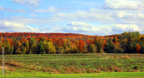 Fall landscape in north america Quebec province Canada