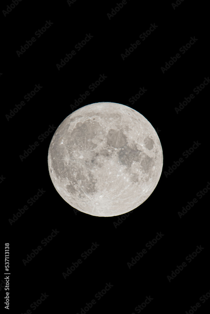 Obraz premium full moon in the night