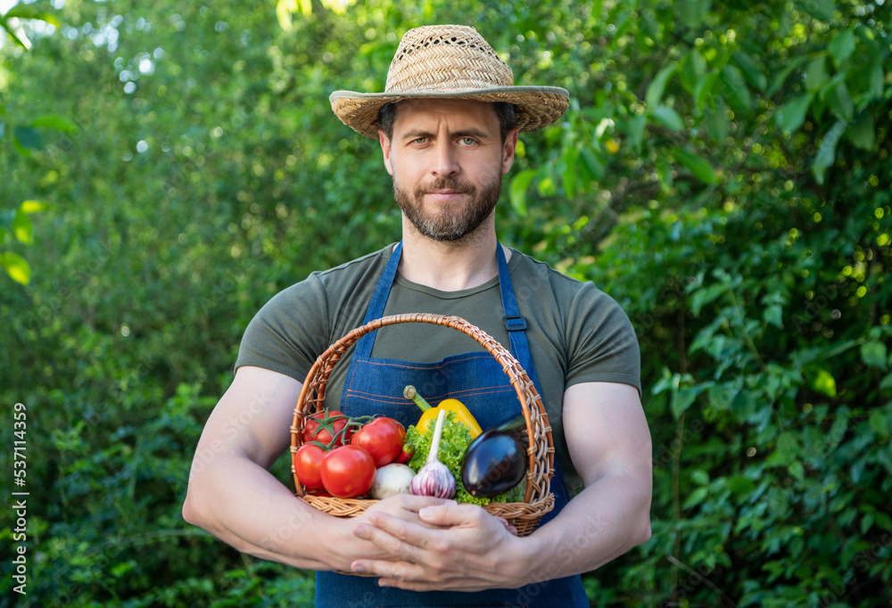 farmer in straw hat hold basket full of vegetables