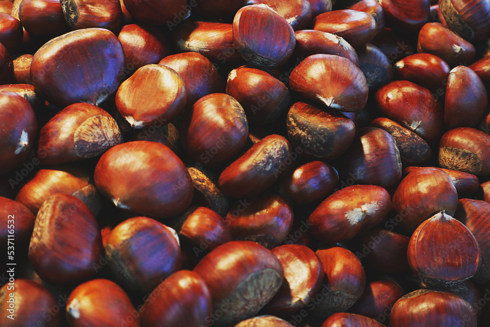 Roasted and unroasted chestnuts on pan outside Roasted and unroasted chestnuts on pan outside