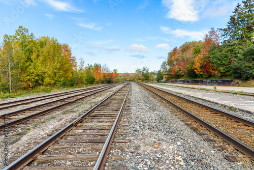 Empty Railway Tracks lined with colourful autumnal trees at a train station on a clear day