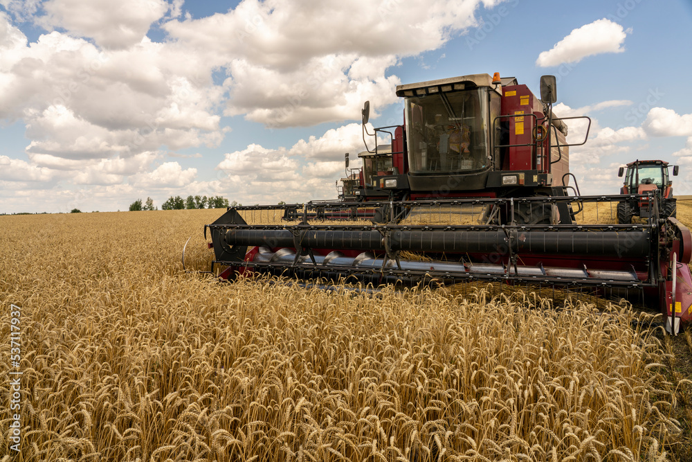 Fototapeta premium The battle for the harvest in Russia, combines and other agricultural machinery lined up in the diagonal for the harvest of wheat and other grains