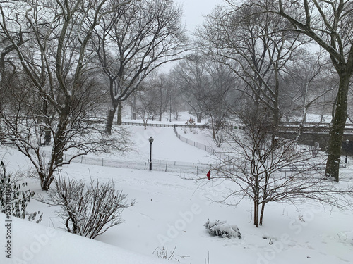 Central Park, New-York, USA 