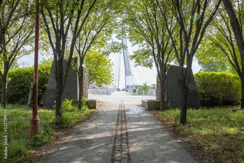 Scenics shot from a green park towards the Esplanade Riel bridge in Winnipeg, Manitoba, Canada photo