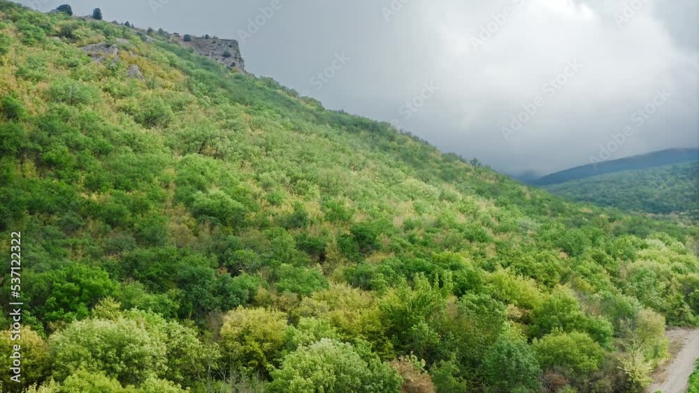 Vineyards at the foot of a high forested mountain with a ledge on top. Drone aerial shot. Vineyards at the foot of a high forested mountain with a ledge on top. Drone aerial shot.
