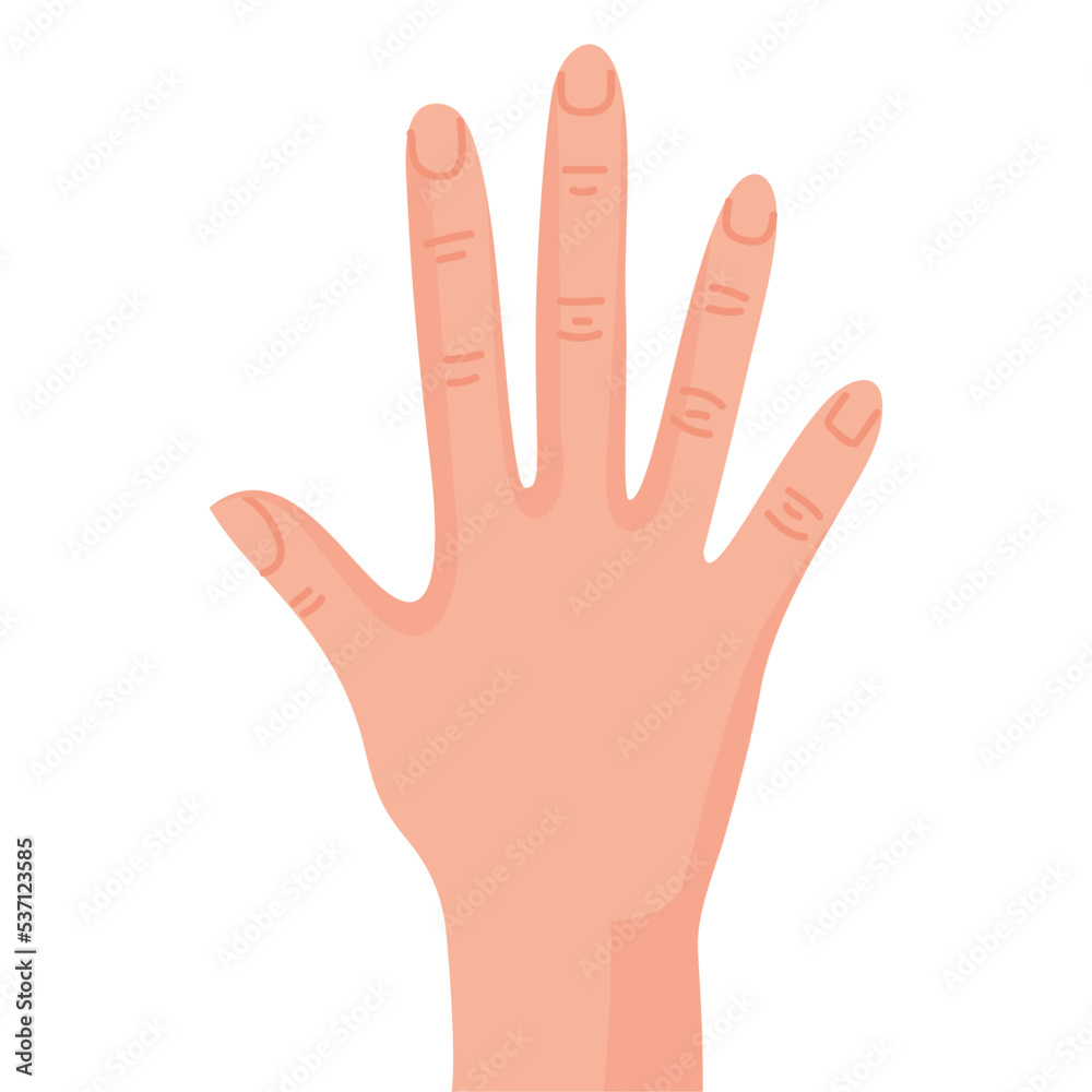 Fototapeta premium hand human stopping