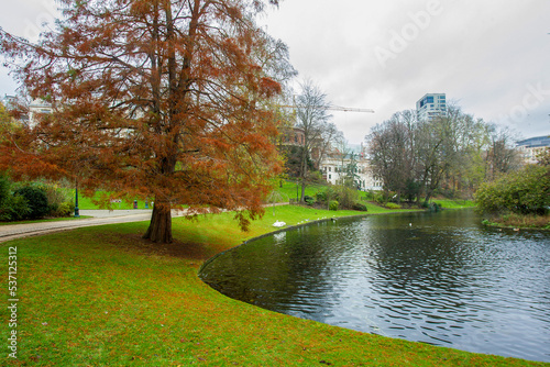 Pond with orange larch in Leopold Park near the European Parliament building. white swans