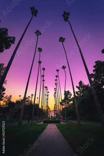 Southern California gradient sky at sunrise photo
