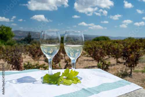 Tasting of white wine on vineyards of Cyprus. Wine production on Cyprus, tourists wine route. photo