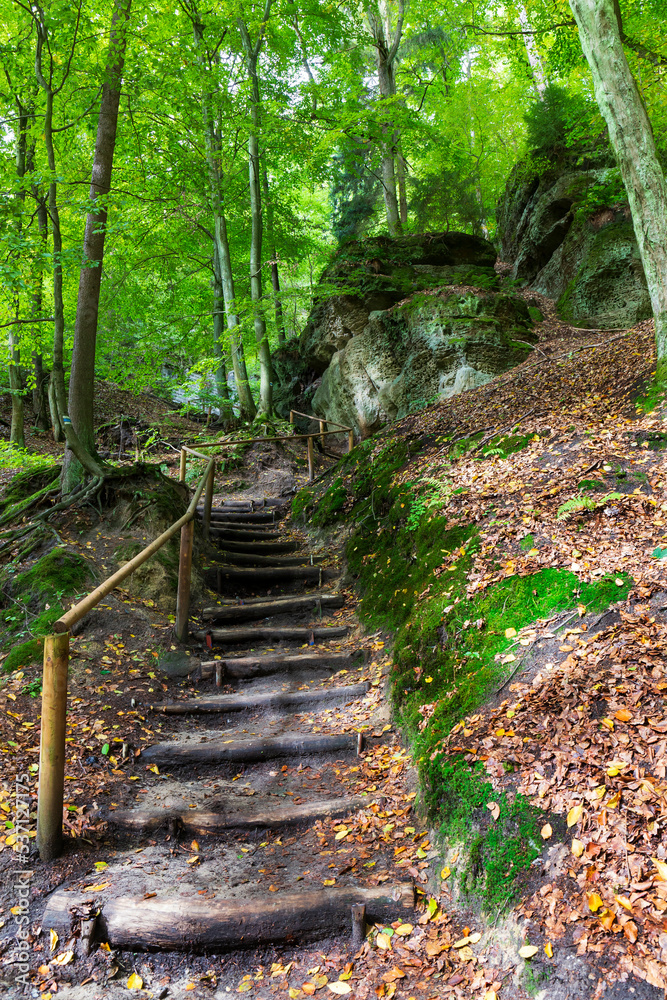 Kokorin Castle from the first half 14th century and its surroundings. Gothic castle is located in the Village Kokorin, Protected landscape area, in the Central Bohemian Region, Czech Republic
