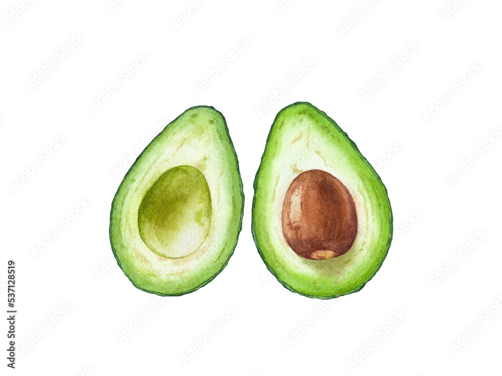 Watercolor fresh ripe avocado halves isolated. Watercolor fresh ripe avocado halves isolated.