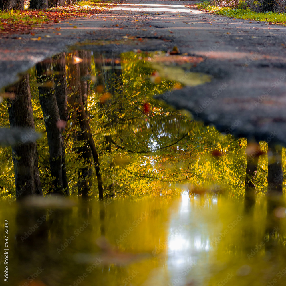 Selective focus puddle and street with reflection of trees along the side, Golden yellow and orange leaves in fall, Small road in countryside with pond and water after rain, Nature autumn background.