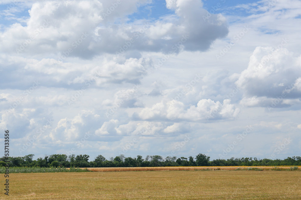 Picturesque view of field and sky with clouds