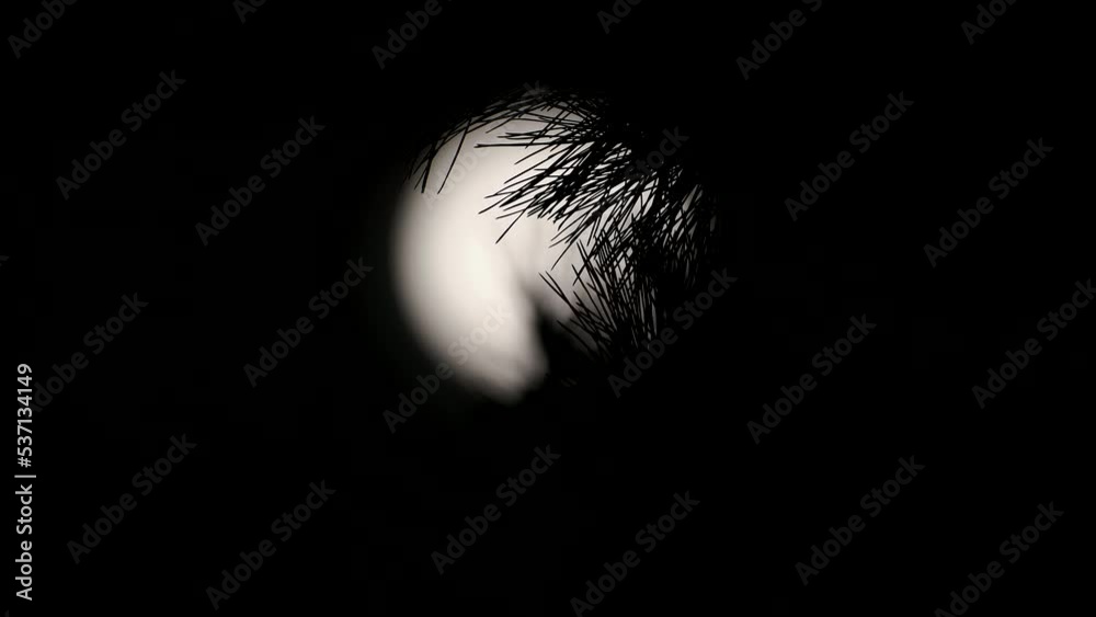 Tokyo,Japan - October 11, 2022: 4times speed The full moon shining beyond pine needles in the night

