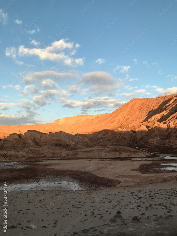 Fototapeta premium sunset in the desert