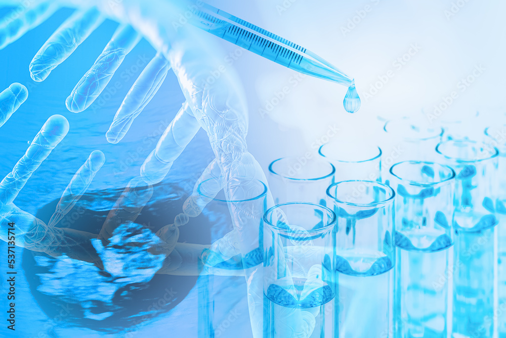 test tube with dropper overlay with DNA strand and ultrasound image of baby in pregnancy in concept of human baby in vitro fertilization test tube with dropper overlay with DNA strand and ultrasound image of baby in pregnancy in concept of human baby in vitro fertilization