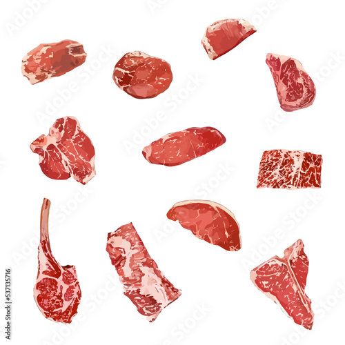 Set different cuts of raw meats vector illustration