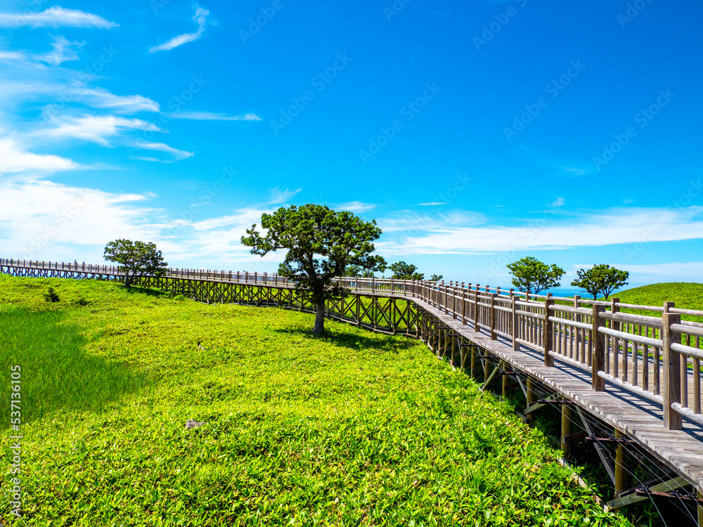 Naklejka premium 知床五胡の一湖の木道（北海道斜里町）