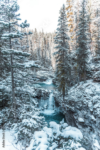 River in winter forest