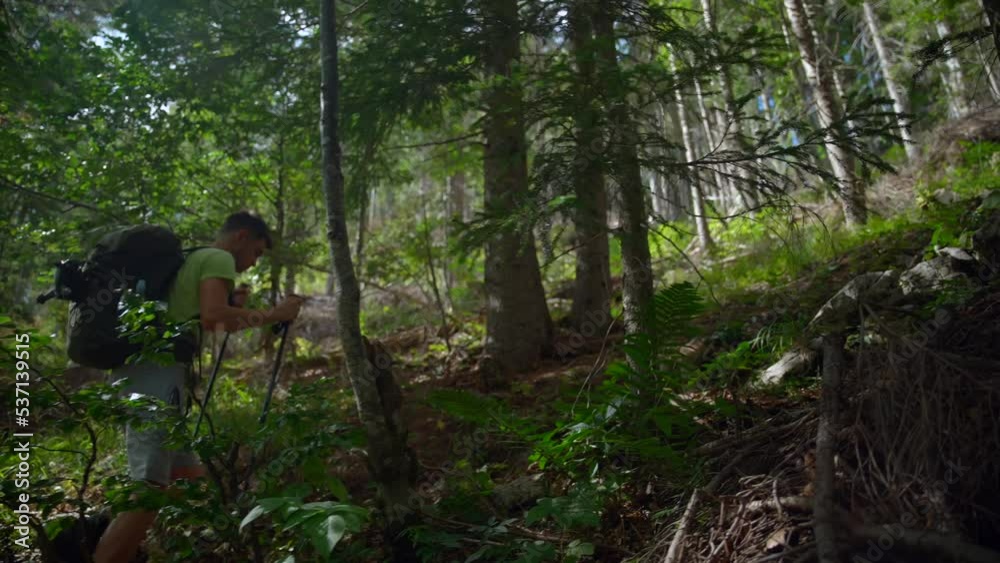 Man hiking in the forest to the mountain with a backpack, tracking polls in sports clothes. With trees and green plants surrounding him. Filmed on a gimbal in 4k wide view at daytime in the Alps Man hiking in the forest to the mountain with a backpack, tracking polls in sports clothes. With trees and green plants surrounding him. Filmed on a gimbal in 4k wide view at daytime in the Alps