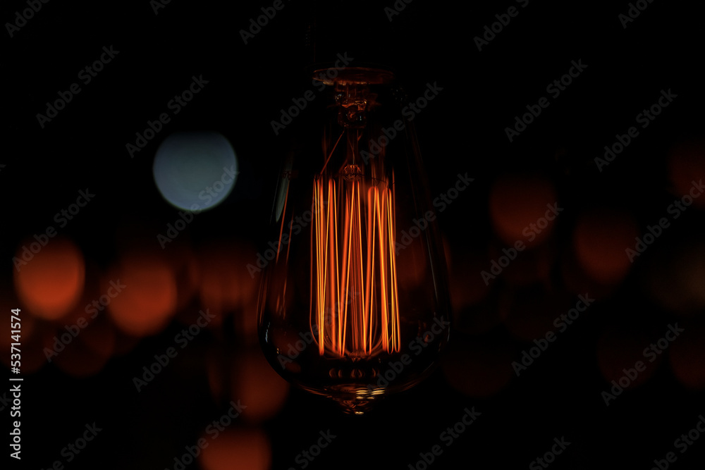Fototapeta premium Lâmpada de filamento aparente Filament light bulbs