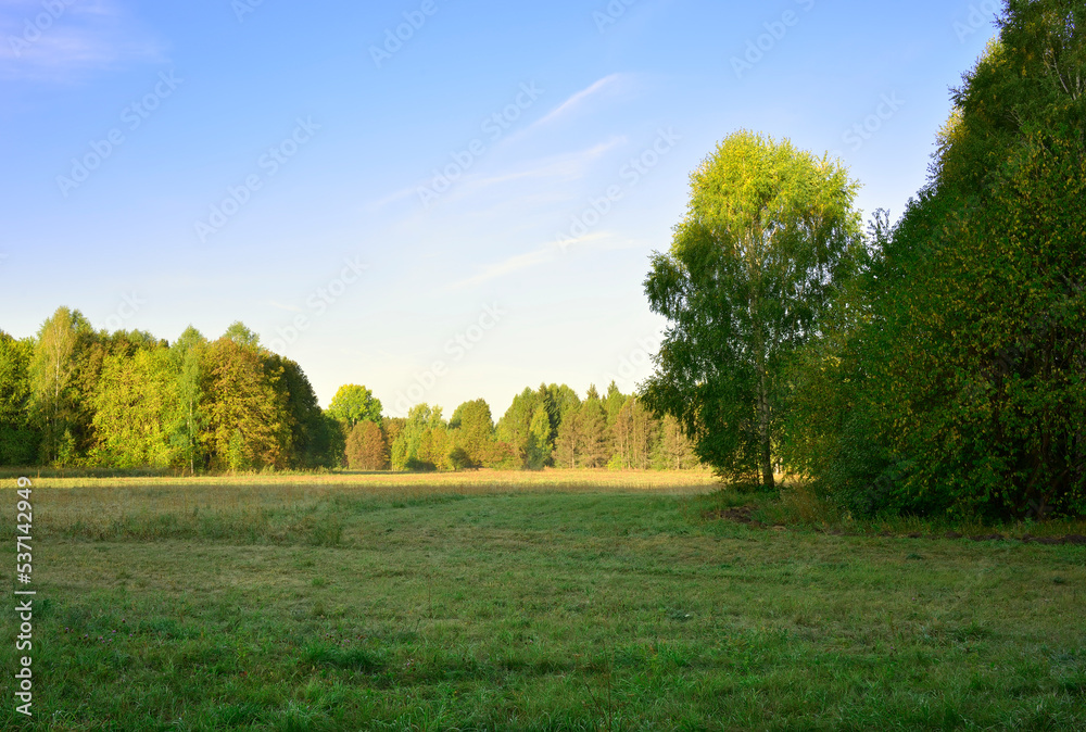 Meadow in the forest park in early autumn Meadow in the forest park in early autumn