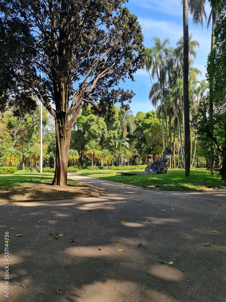 alley in the park