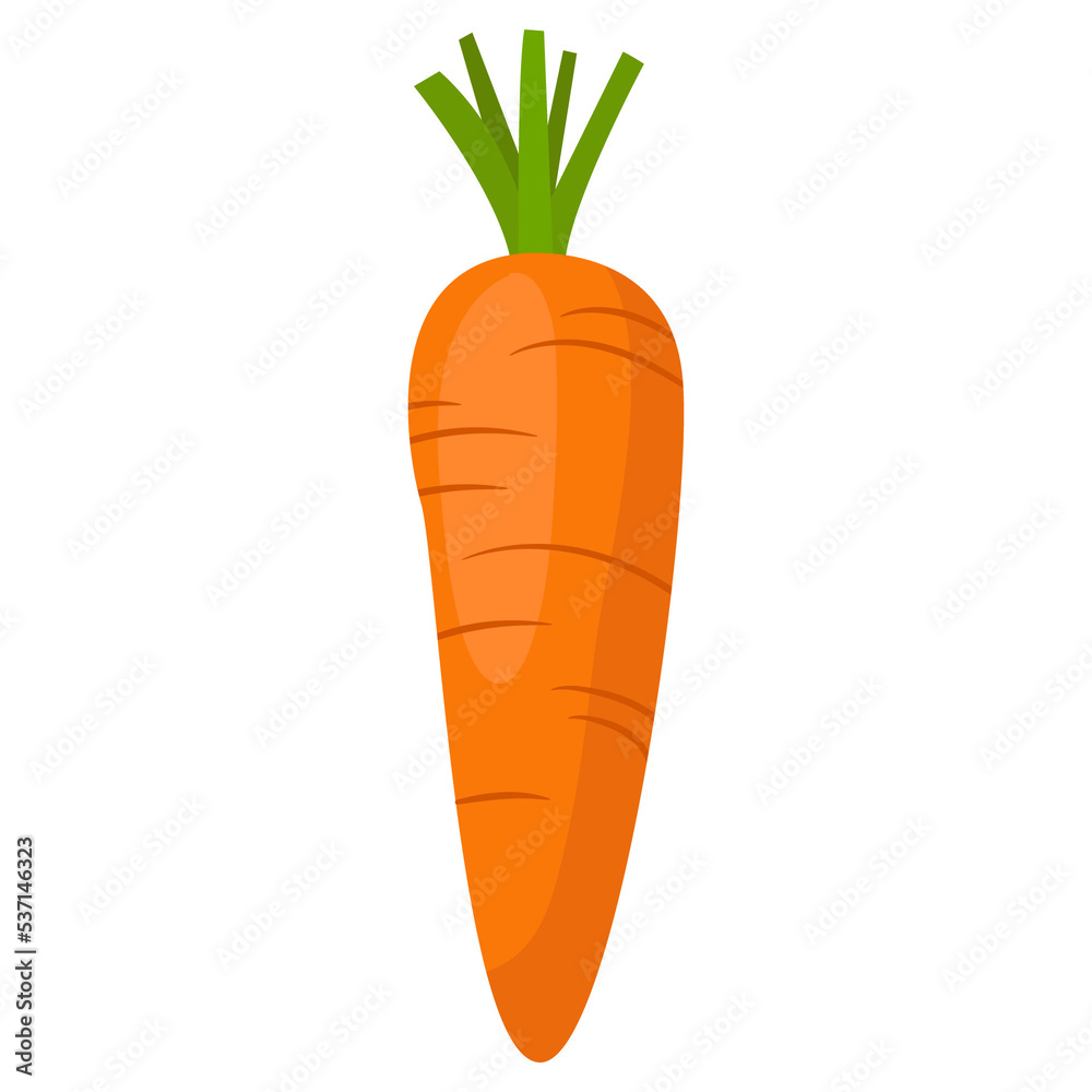 orange carrot vegetable salad agriculture farm product orange carrot vegetable salad agriculture farm product