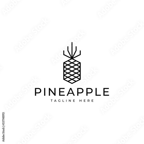 modern abstract geometric pineapple fruit logo design