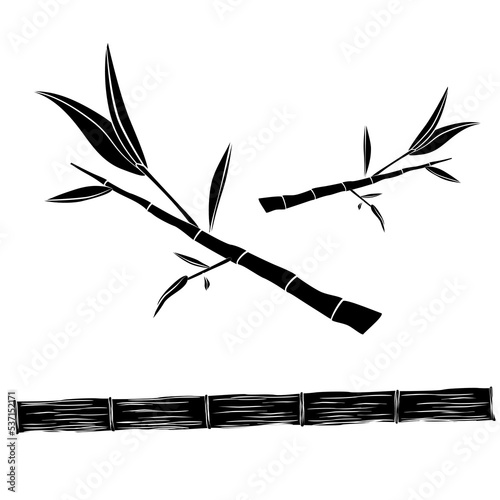 Silhouette of bamboo trunk and bamboo twigs with leaves isolated on white background. Clipart, design element.