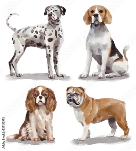 Watercolor illustration with different breeds of dogs - dalmatian, beagle, king charles spaniel, bulldog 