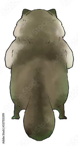 もふもふなタヌキの後ろ姿