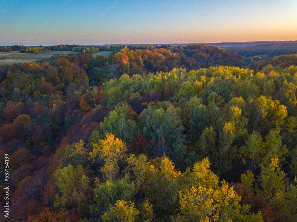 Autumn landscape view with golden color trees Autumn landscape view with golden color trees